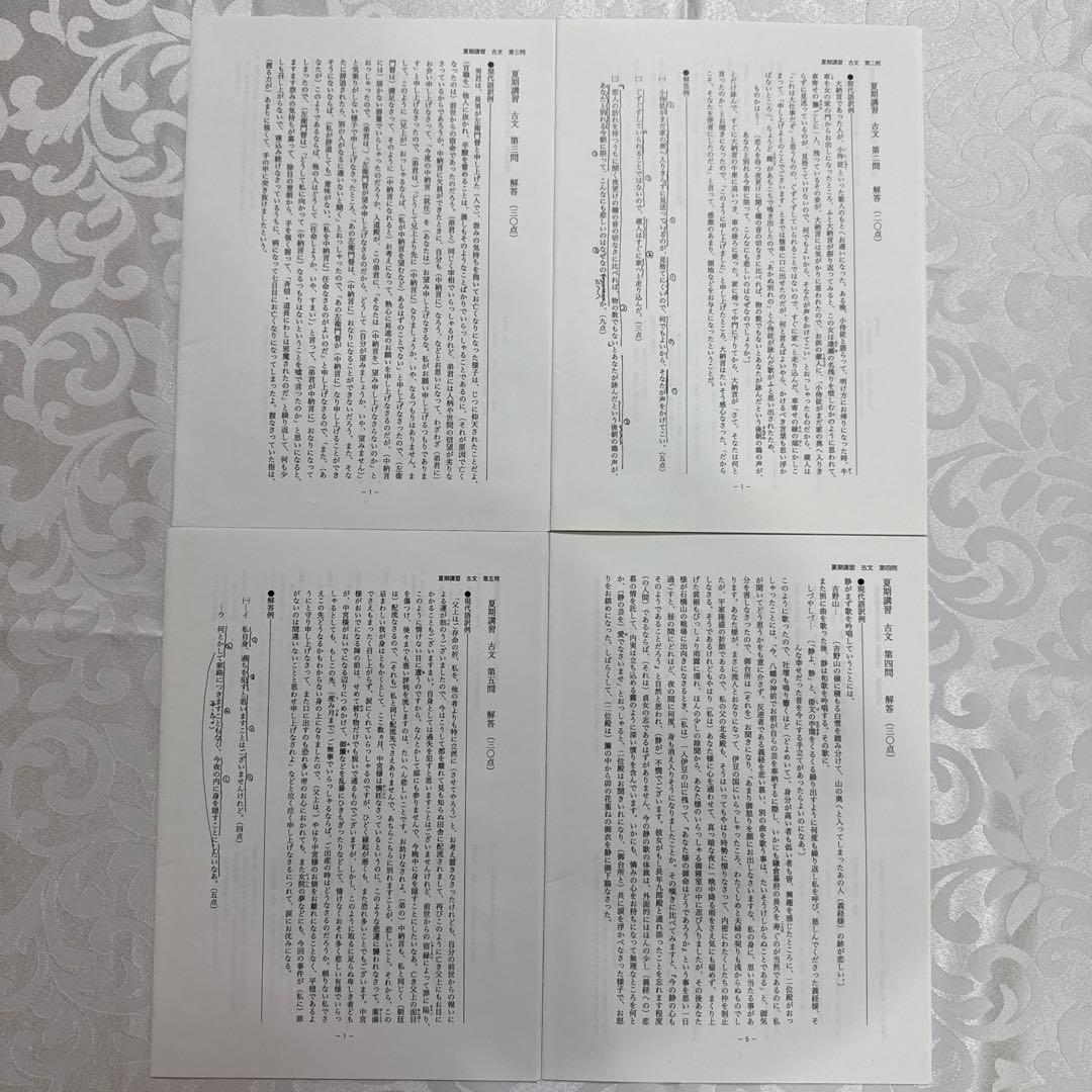 鉄緑会高3古典夏期講習　オリジナルプリント付き