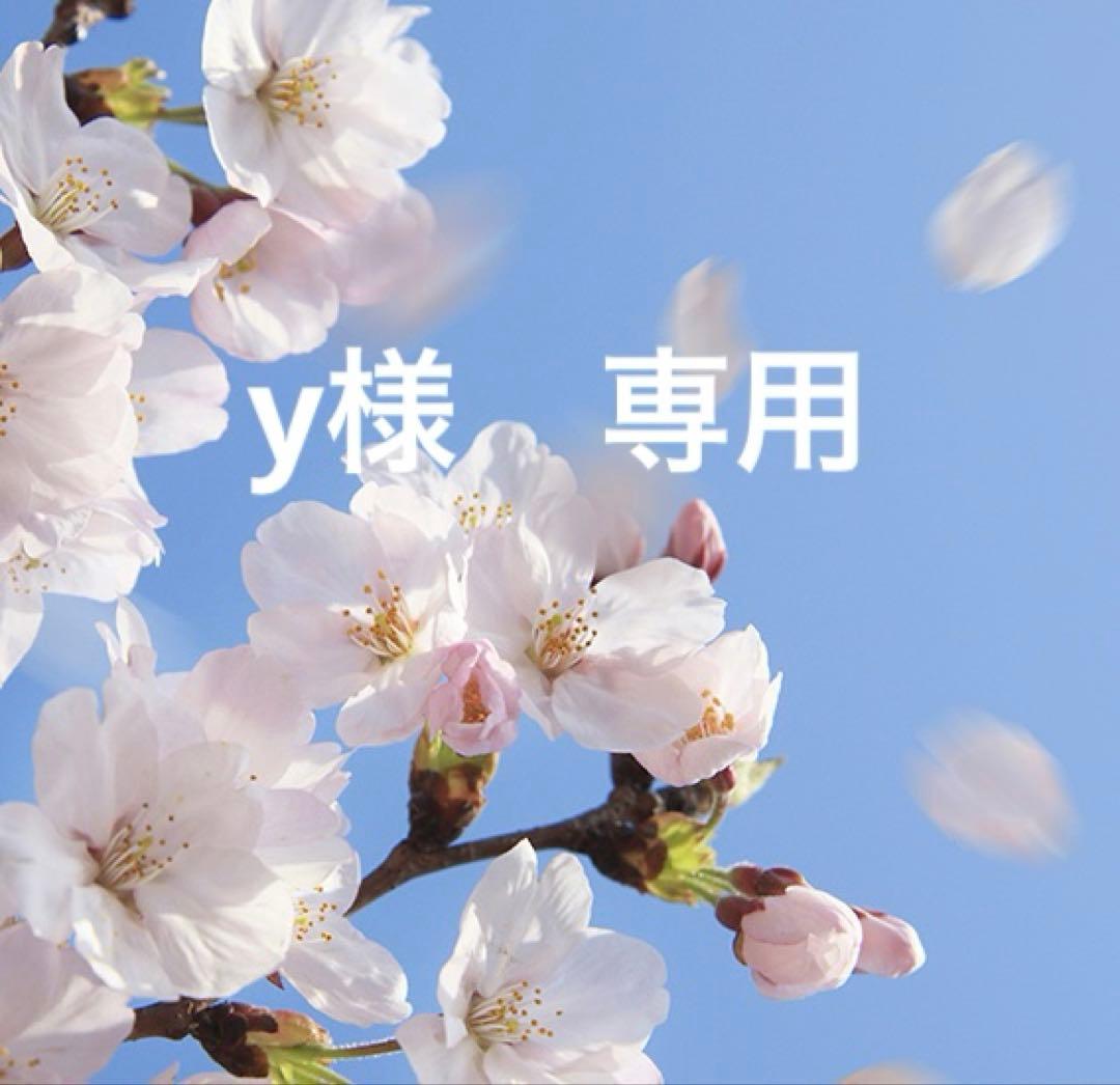 y　mサイズ