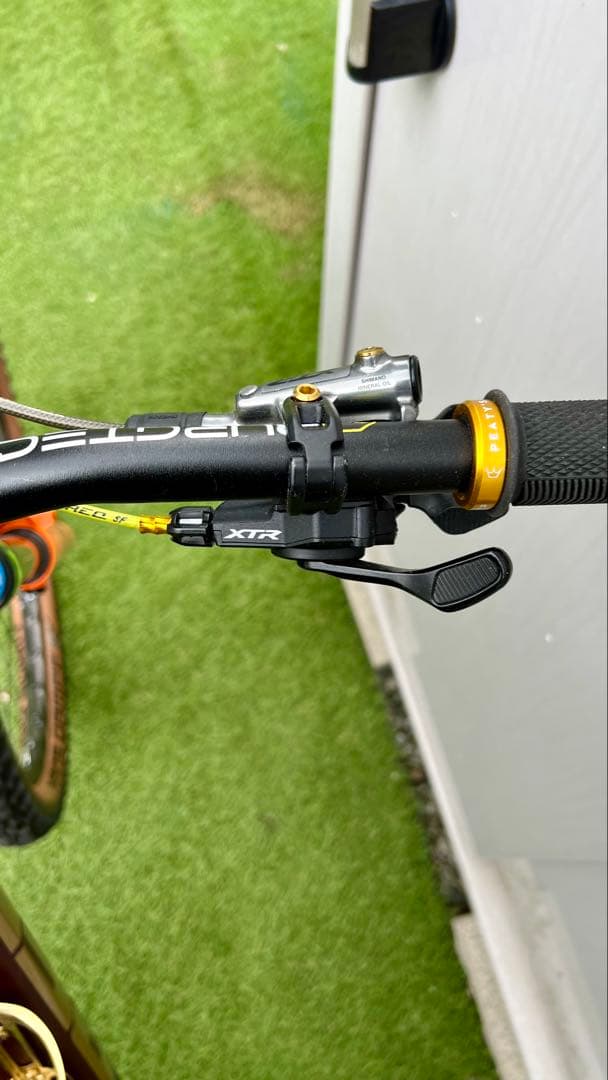 TREK REMEDY 9.7 CARBON(カスタム)2018/2019