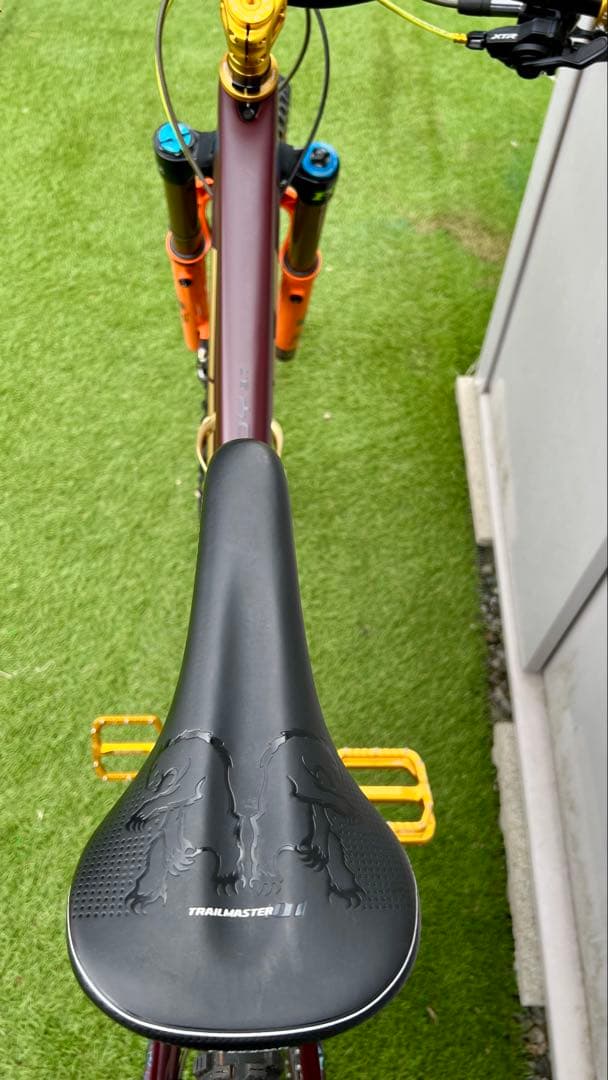 TREK REMEDY 9.7 CARBON(カスタム)2018/2019