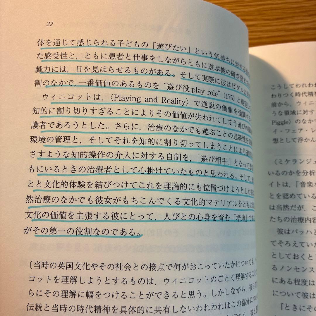 改訂　錯覚と脱錯覚 : ウィニコットの臨床感覚