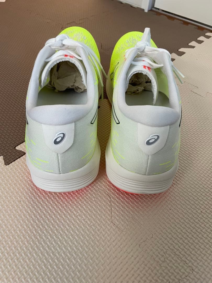 asicsメンズ EvoRide SPEED 2ランニングシューズ28.5cm