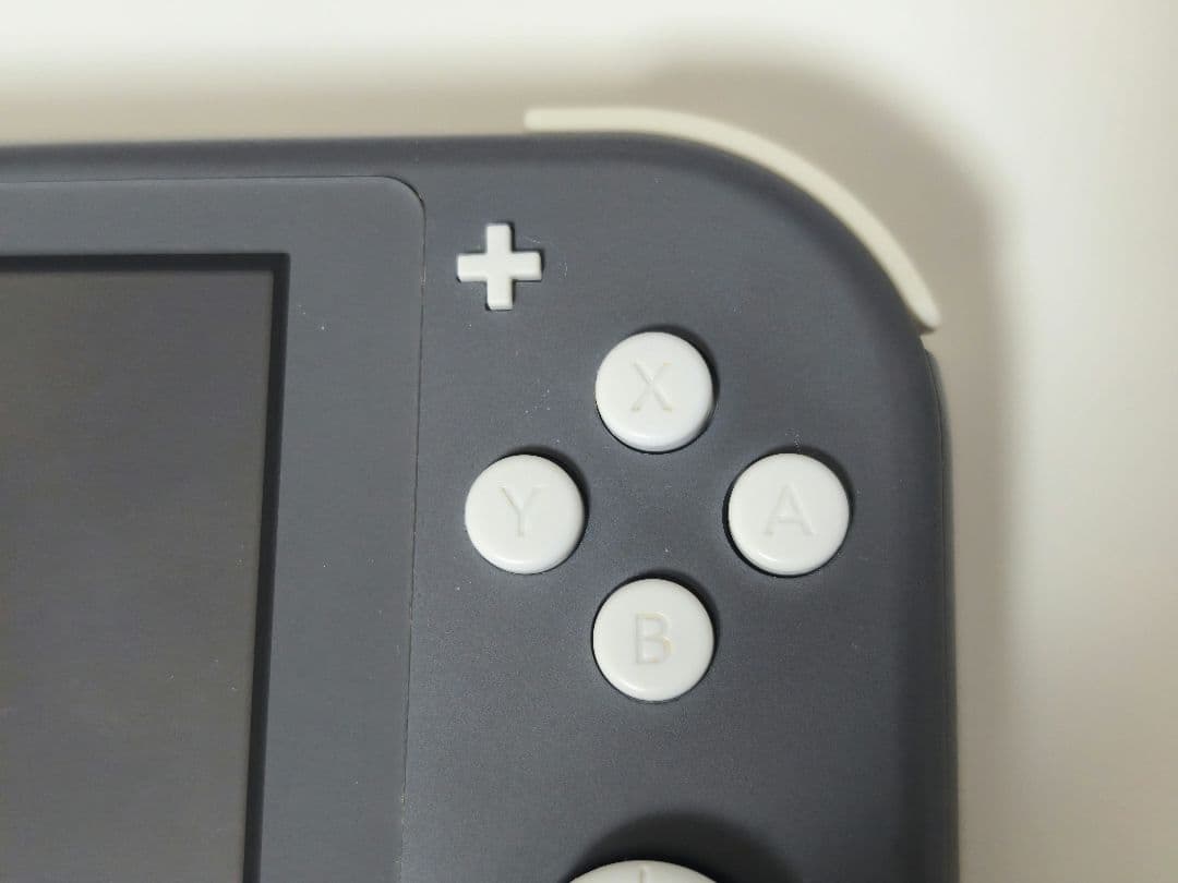 Switch Lite 本体のみ 動作確認済み 液晶不良あり