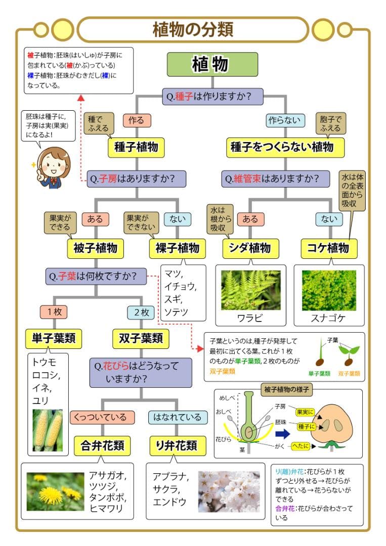 にゃん商品