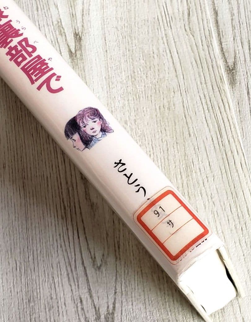ふたりは屋根裏部屋で 児童書