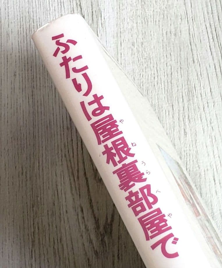 ふたりは屋根裏部屋で 児童書