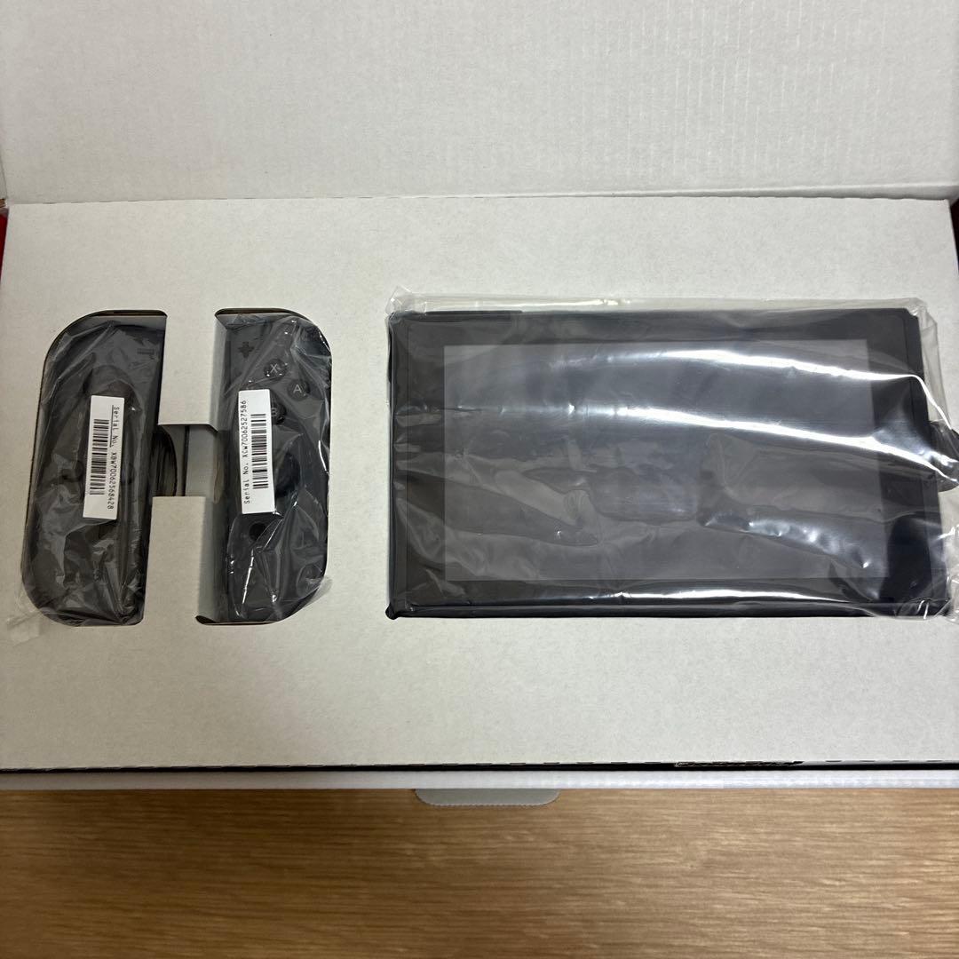 Switch Nintendo Switch グレー　携帯ケース付