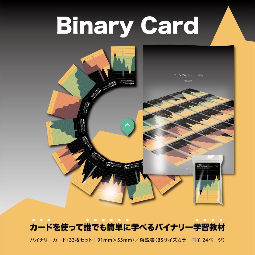 講座用｜10点まとめ｜バイナリーカード｜教材｜新品未使用｜学習教材｜ハイロー