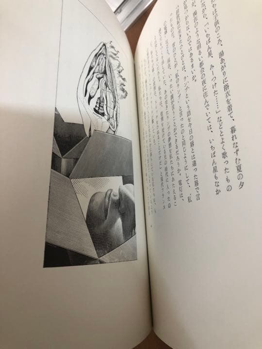 夢のある部屋【希少本】函帯付き　澁澤龍彦