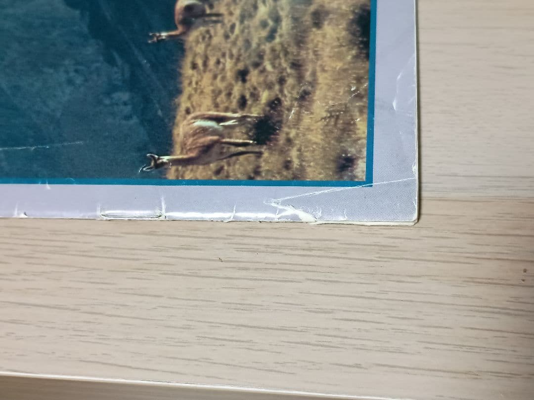 patagoniaカタログ1984~1985 超希少品!