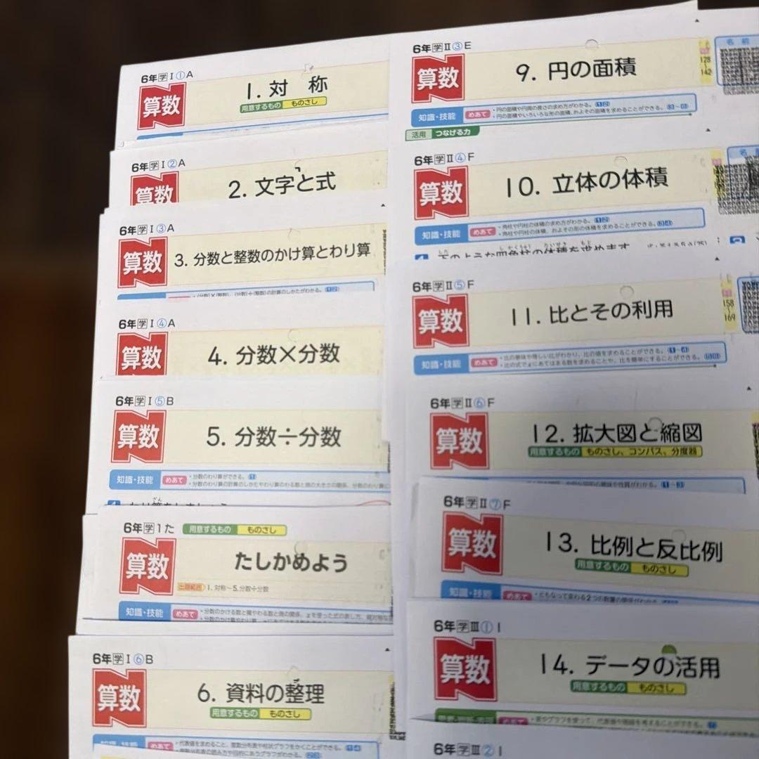6年算数カラーテスト　学校図書　Nぶんけい