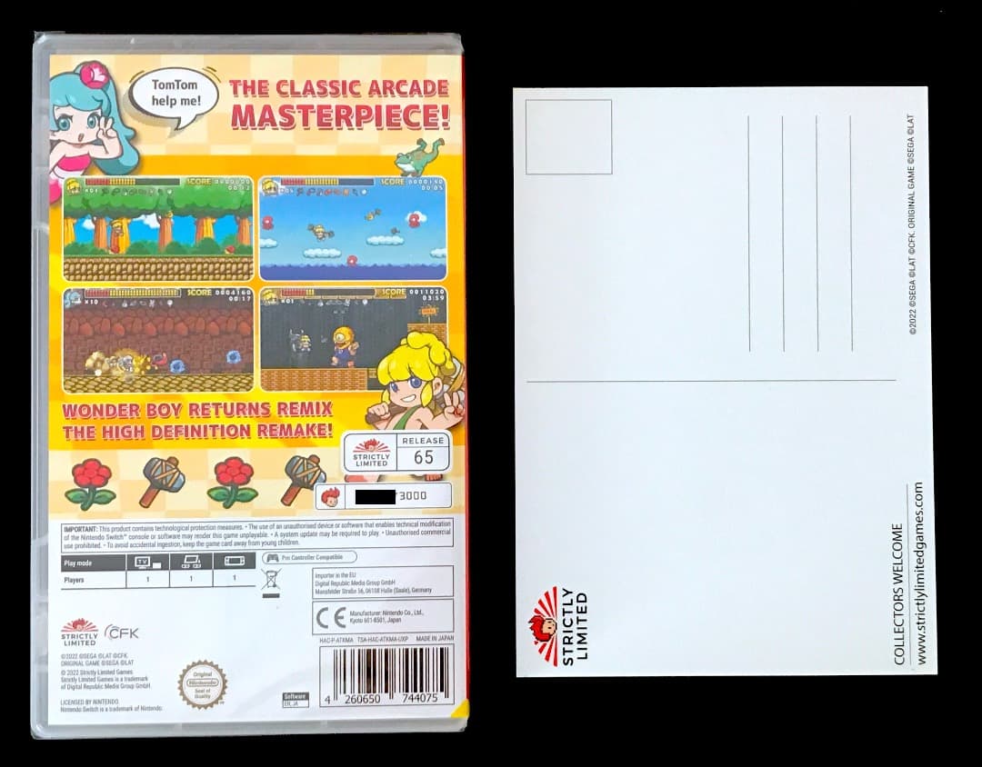 ワンダーボーイ リターンズ リミックス Wonder Boy Returns