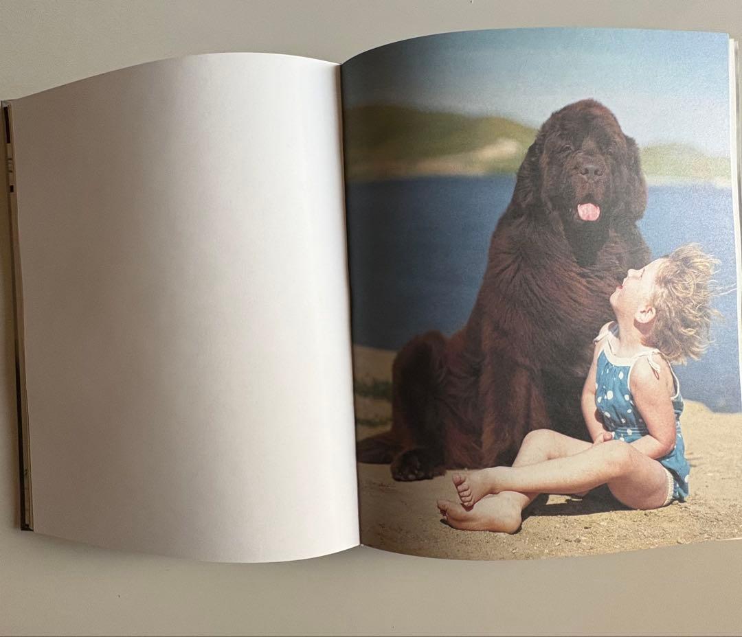 ブルース・ウェーバー写真集 「Gentle Giants」