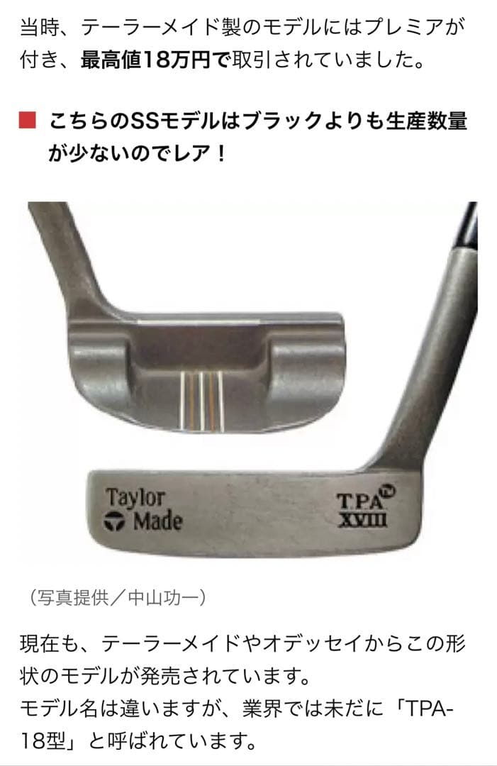名器　ヴィンテージ　テーラーメイド　TPA18 マレット　パター　希少　レア限定