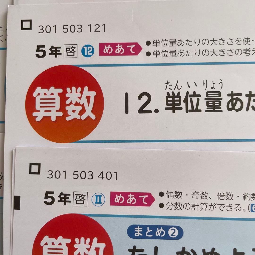 小学5年 算数 カラーテスト 令和7年度 21枚分 啓林館 新学社　最新
