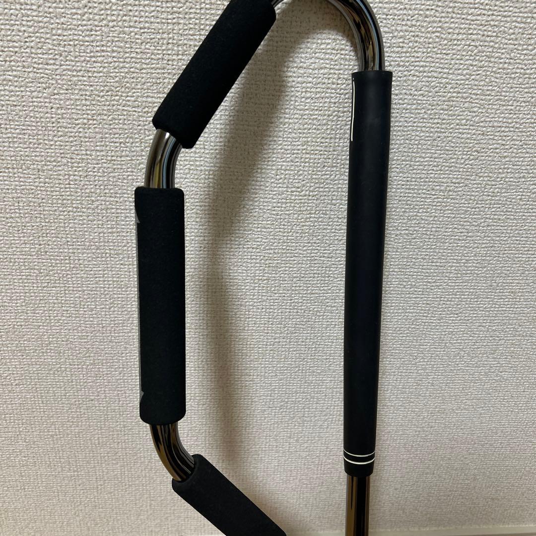 ゴルフの竪琴 練習器 アナライズ マーク金井 ゴル