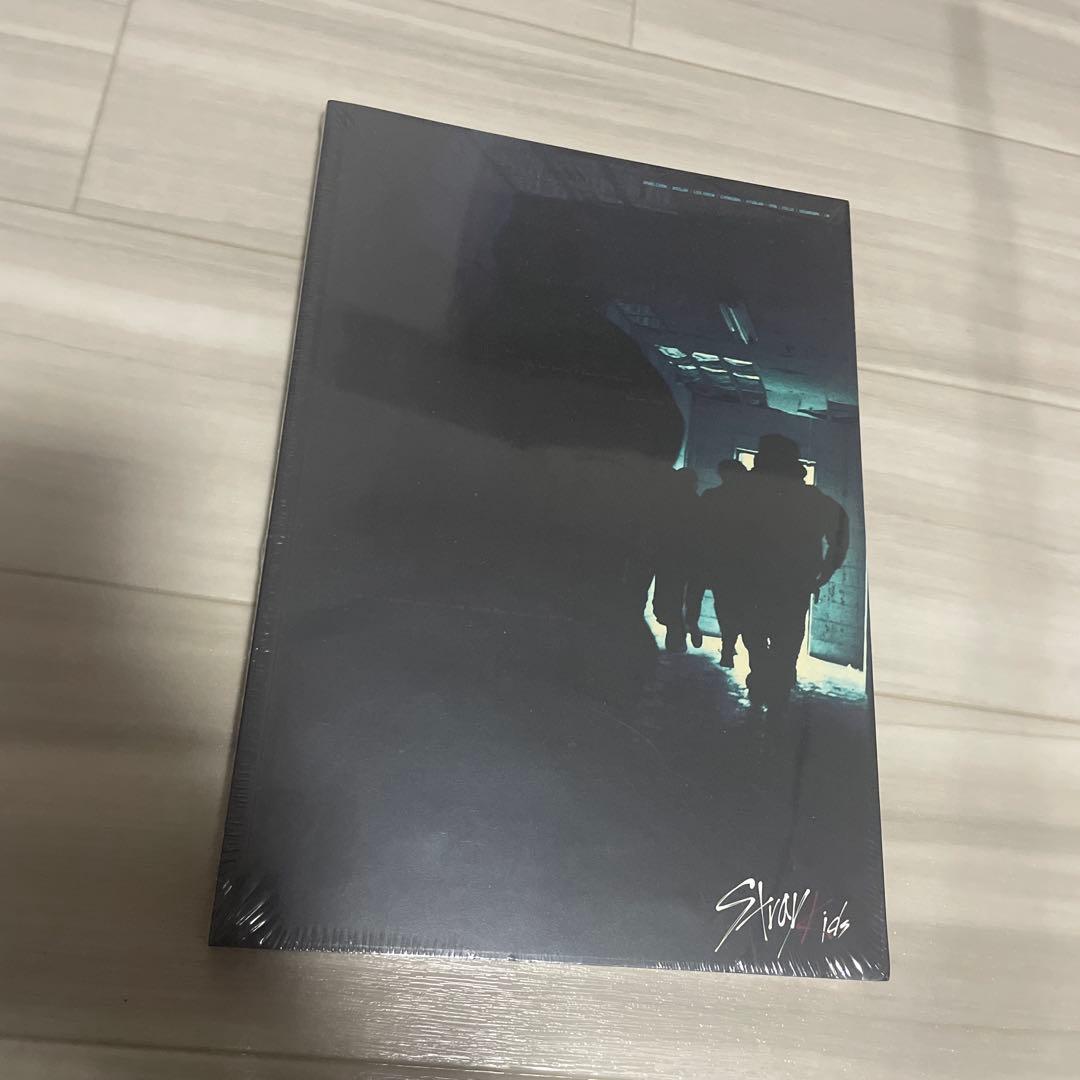 Stray Kids韓国版 I am NOT ミニアルバム 非売品ポストカード