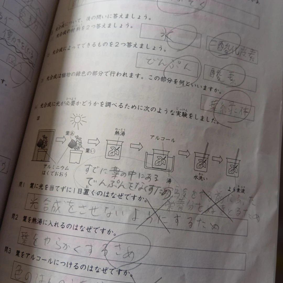 日能研　４年　前期後期テキスト 本科栄冠　春夏冬講習【発展】2022年版
