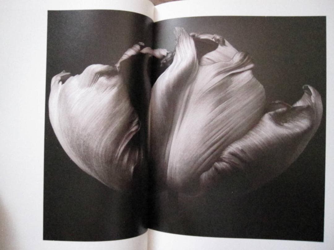 FLOWERS MARK VASSALLO　マーク・ヴァッサーロ