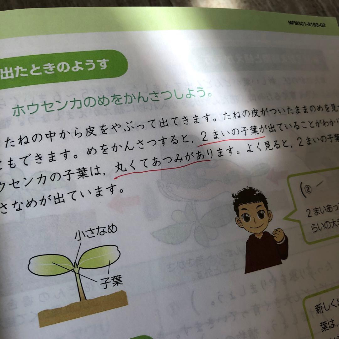 Z会 小3 エブリスタディ 2019年4月〜2020年3月 （1年分）