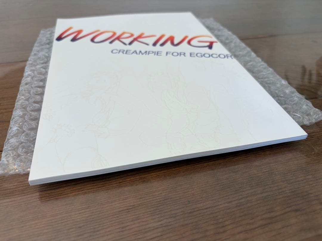 【極美品】WORKING GIRLS 4 井関修一 / egocoroking