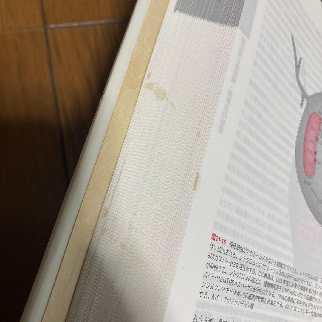 ミラー麻酔科学