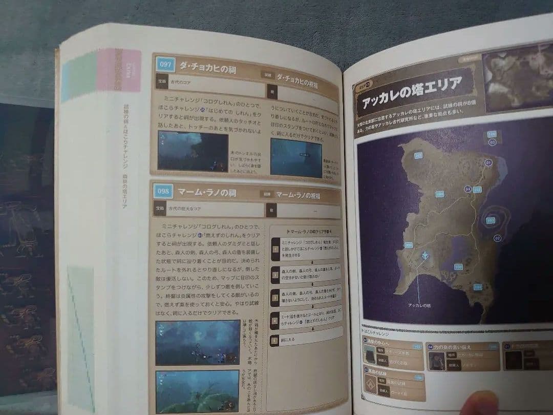 Switch ゼルダの伝説ブレスオブザワイルド ティアーズオブ ゲームと攻略本
