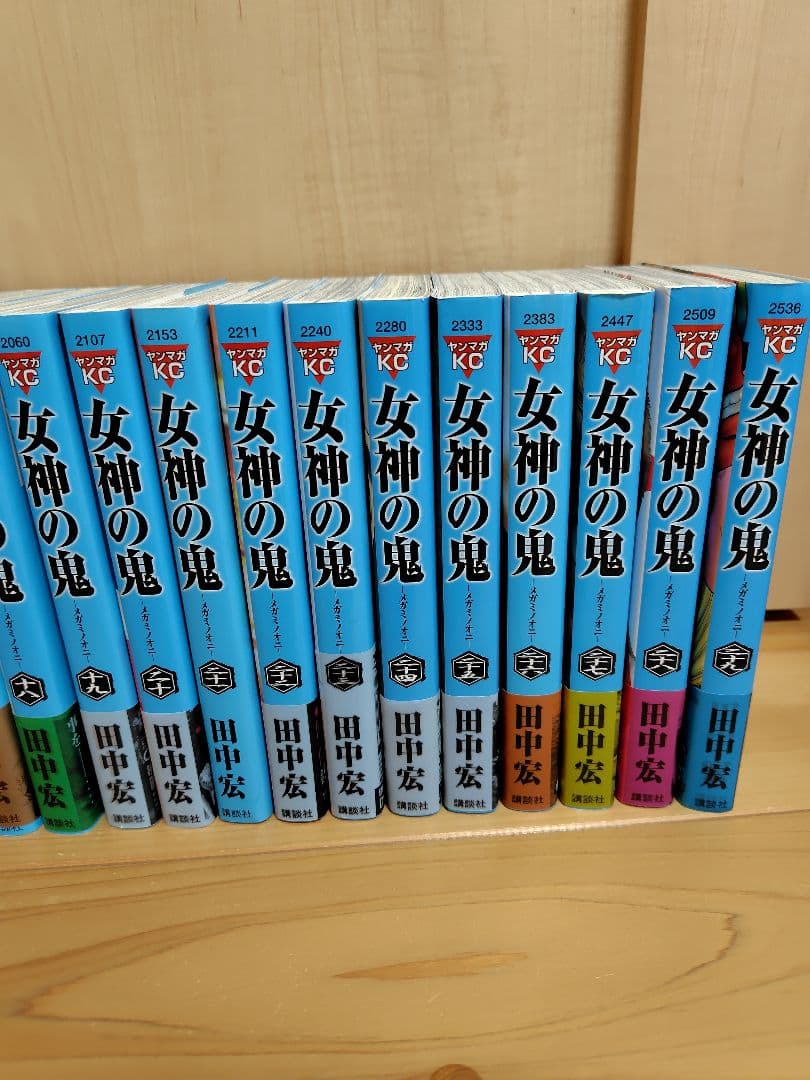 女神の鬼 29