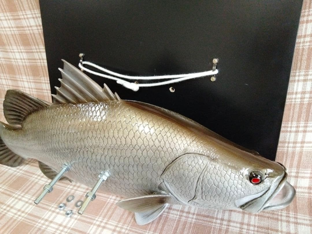 ハンドメイド　50cmアカメ壁掛け　フィギュア　レプリカ　オブジェ　怪魚釣り