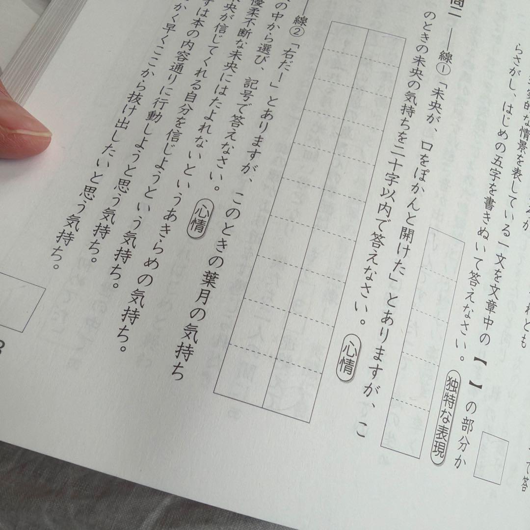 【書き込みあるテキスト、未使用品混在】中学受験新演習　小5 国語　算数セット