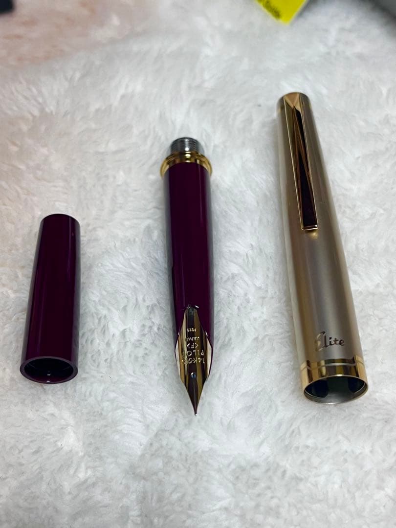 ☆廃番品 新品未使用 パイロット 万年筆 エリート ディープレッド F 細字☆