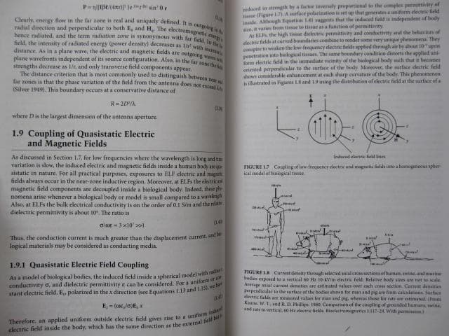 洋書 Electromagnetic Fields in Biological Sys