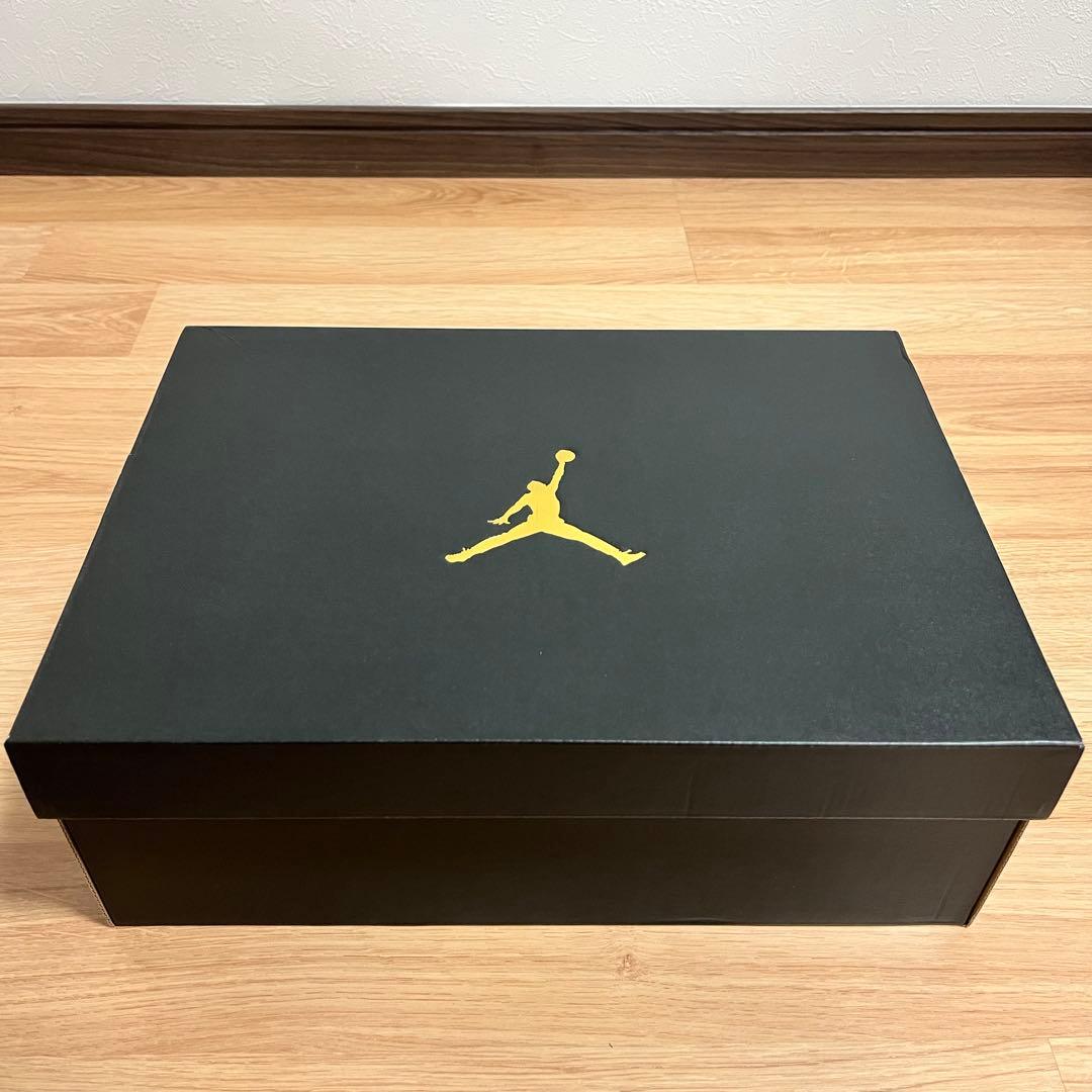サラクロスさん専用 Nike AirJordan 10 “Rio”エアジョーダン