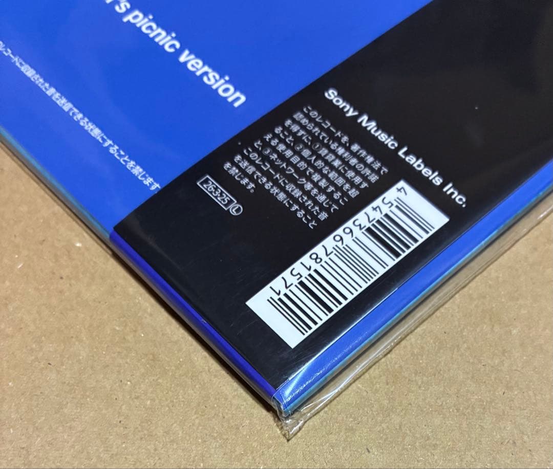 SATELLITE LOVERS SONS OF 1973 アナログ盤