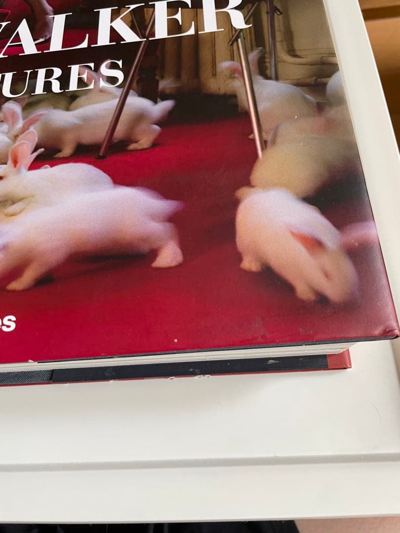 値下げ　TIM WALKER PICTURES / ティムウォーカー