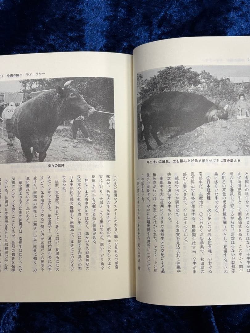 広井忠男「日本の闘牛 沖縄・徳之島・八丈島・隠岐・越後」初版　高志書院