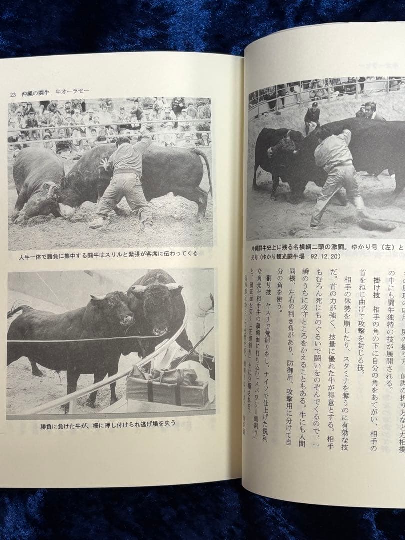 広井忠男「日本の闘牛 沖縄・徳之島・八丈島・隠岐・越後」初版　高志書院