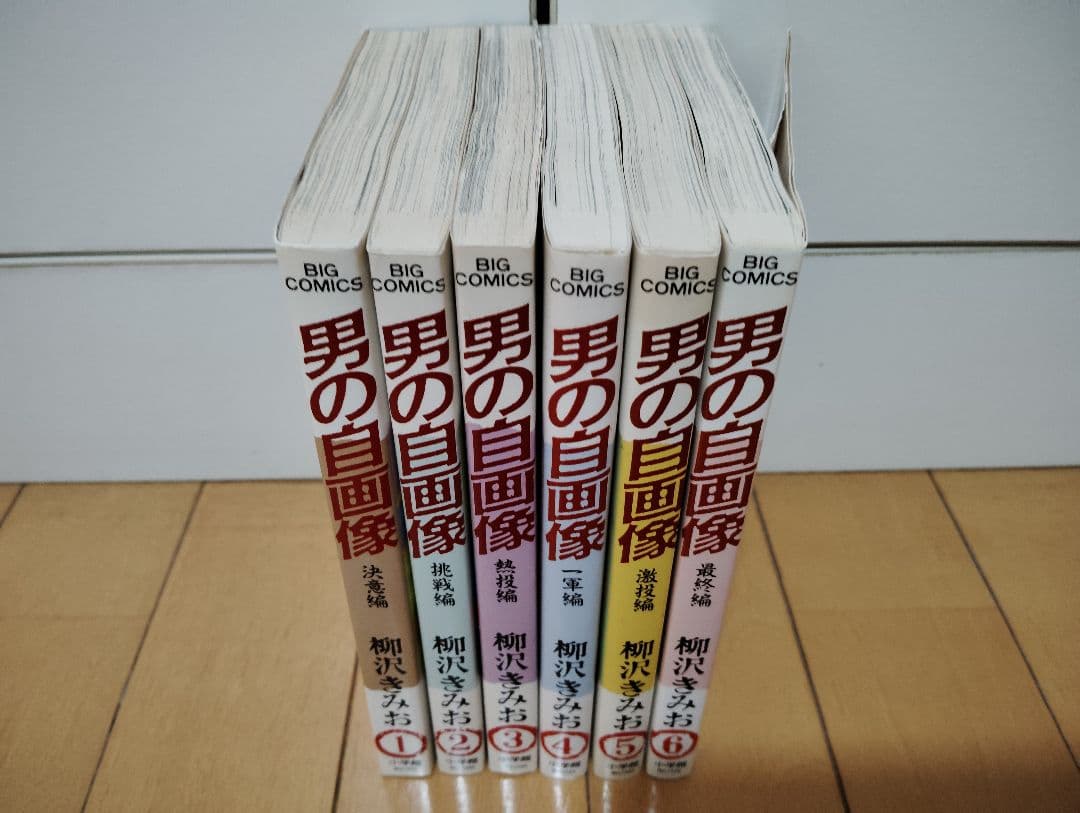 ※33冊全巻セット おいしい水 青き炎 SEWING 男の自画像 他 柳沢きみお