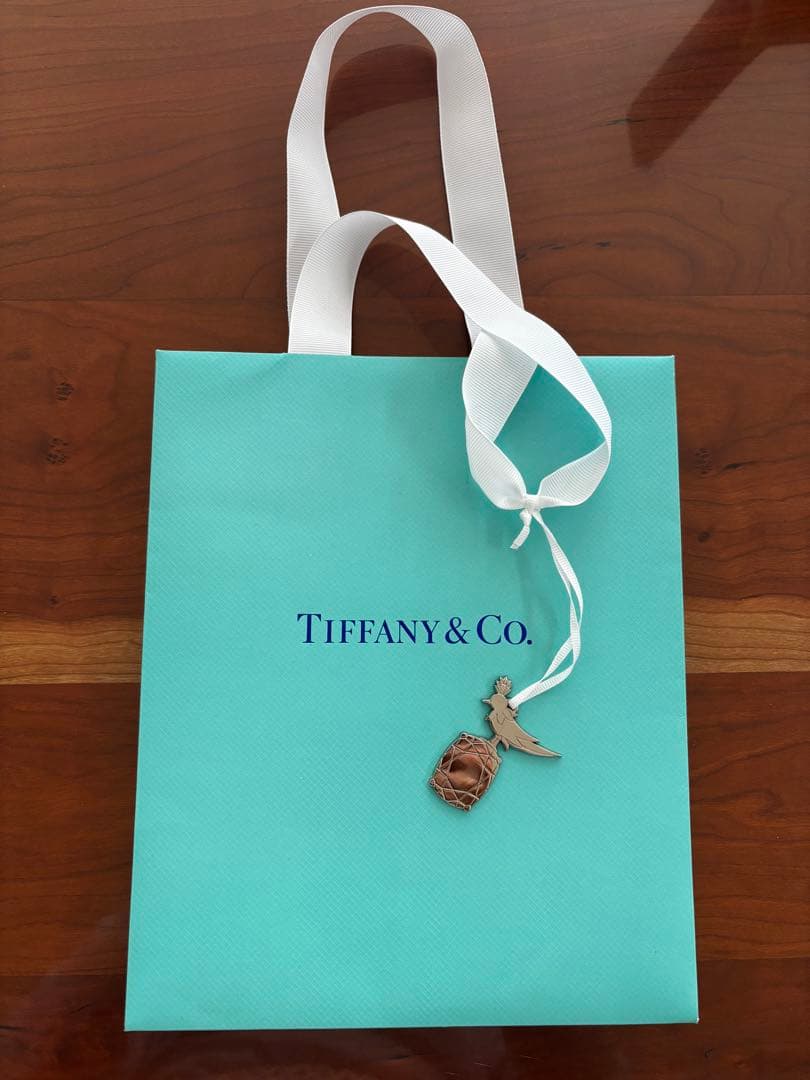 TIFFANY&Co. ティファニー　ボールペン　シルバー