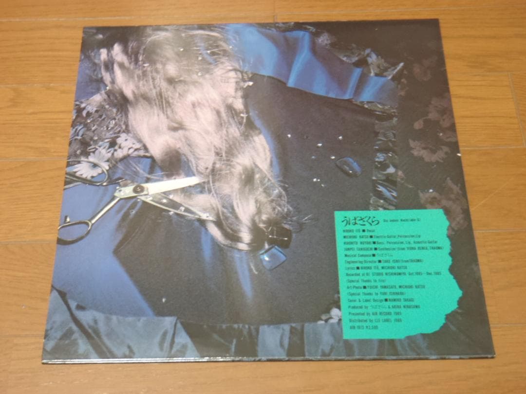 うばざくら Die andere Nacht (oder.G)　レコード