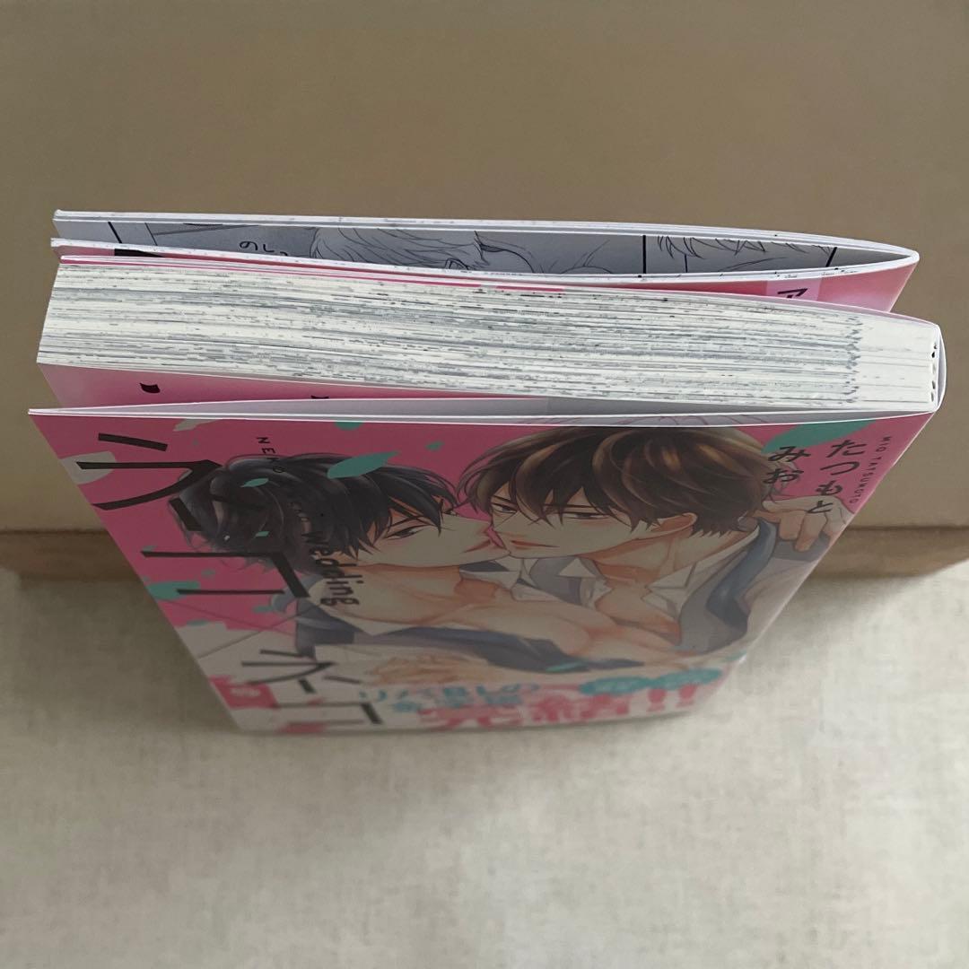 即購入不可　たつもとみお　ネコネコ　wedding   特典　冊子　リーフレット
