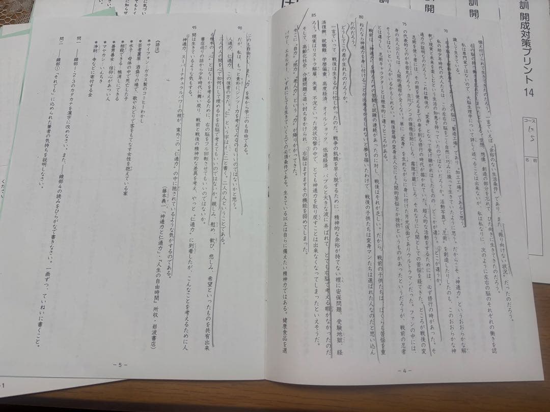SAPIX6年 2024版　国語SS特訓　開成対策プリント14回　原本解答付き