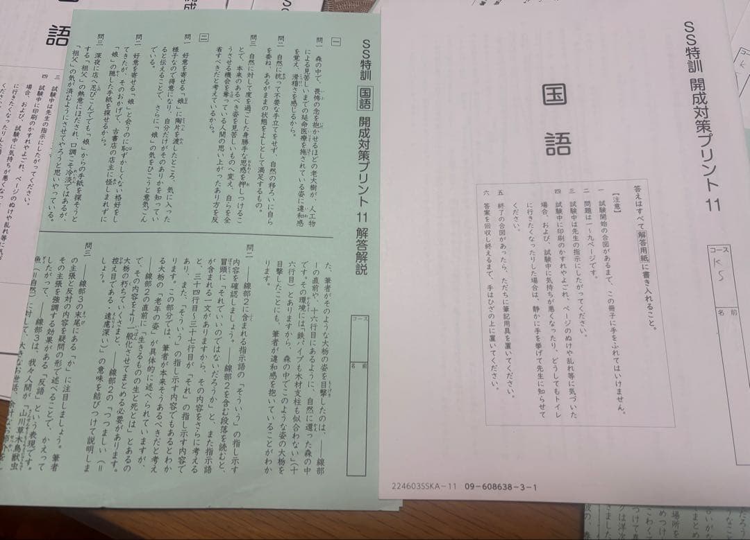 SAPIX6年 2024版　国語SS特訓　開成対策プリント14回　原本解答付き