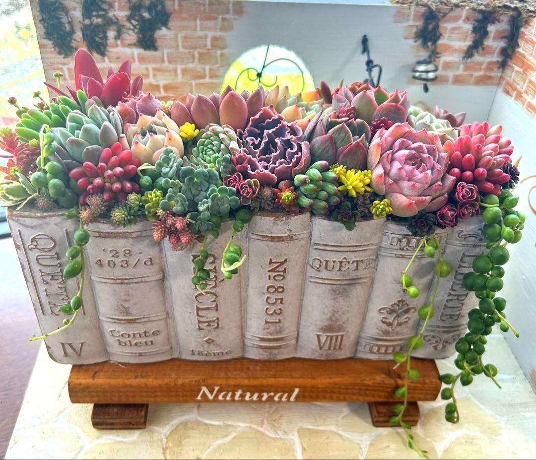 ・:*多肉植物そのまま飾れる・:*洋書ブックプランターアイボリー大きめ・:*