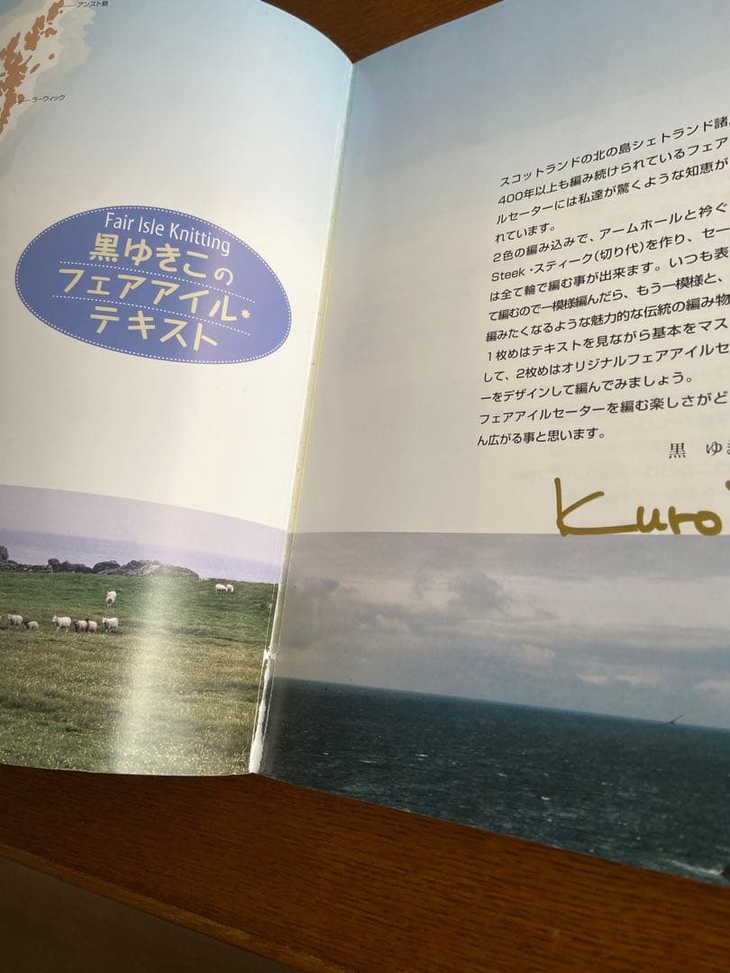 【貴重】黒ゆきこのフェアアイル・テキスト fair lsle knitting