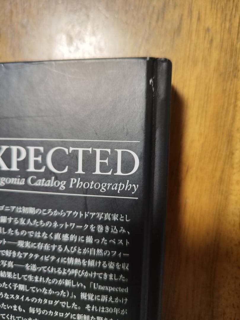 Patagonia UNEXPECTED 写真集