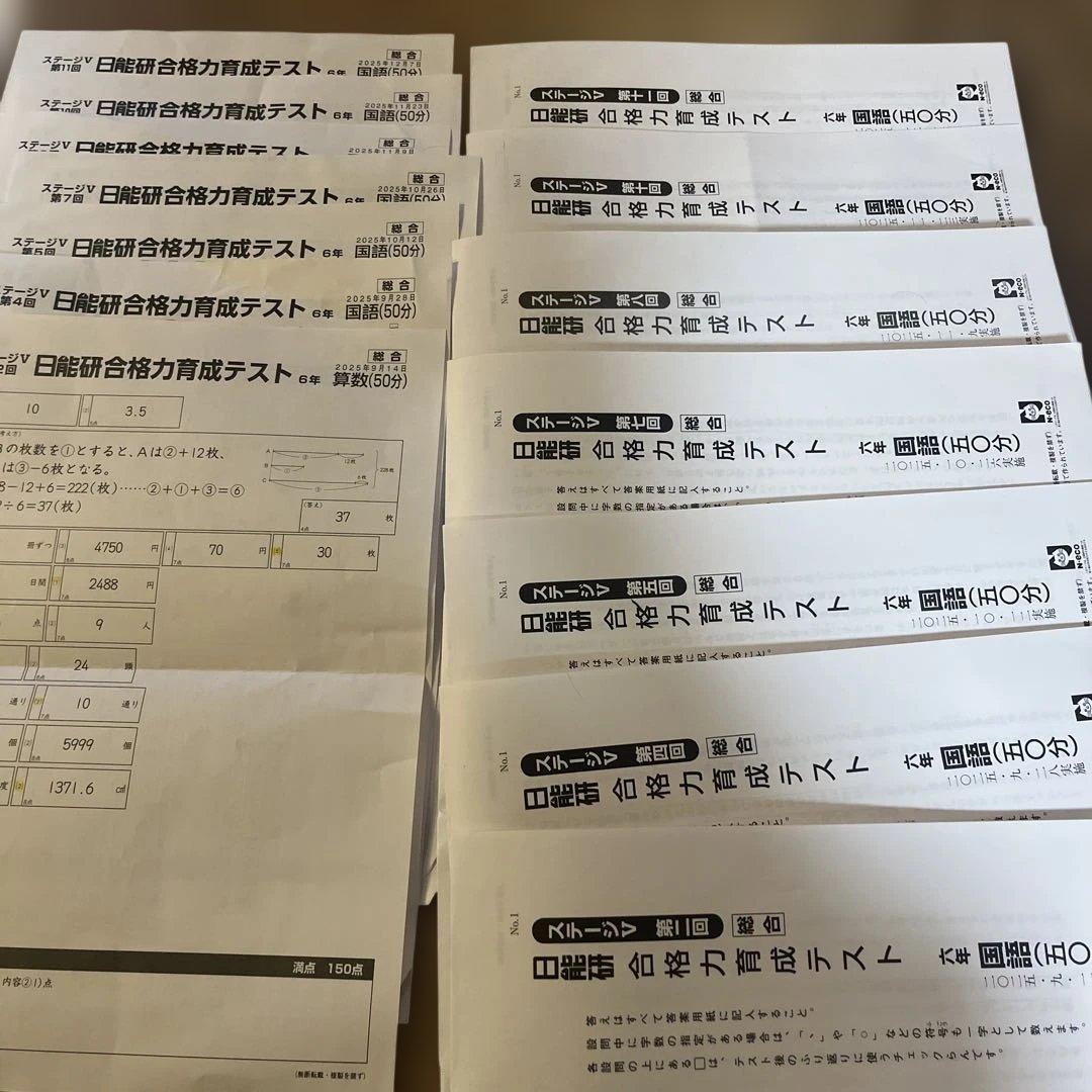 6年 後期 育成&実践テスト総合　2025年度 日能研　国語算数のみ1-12回