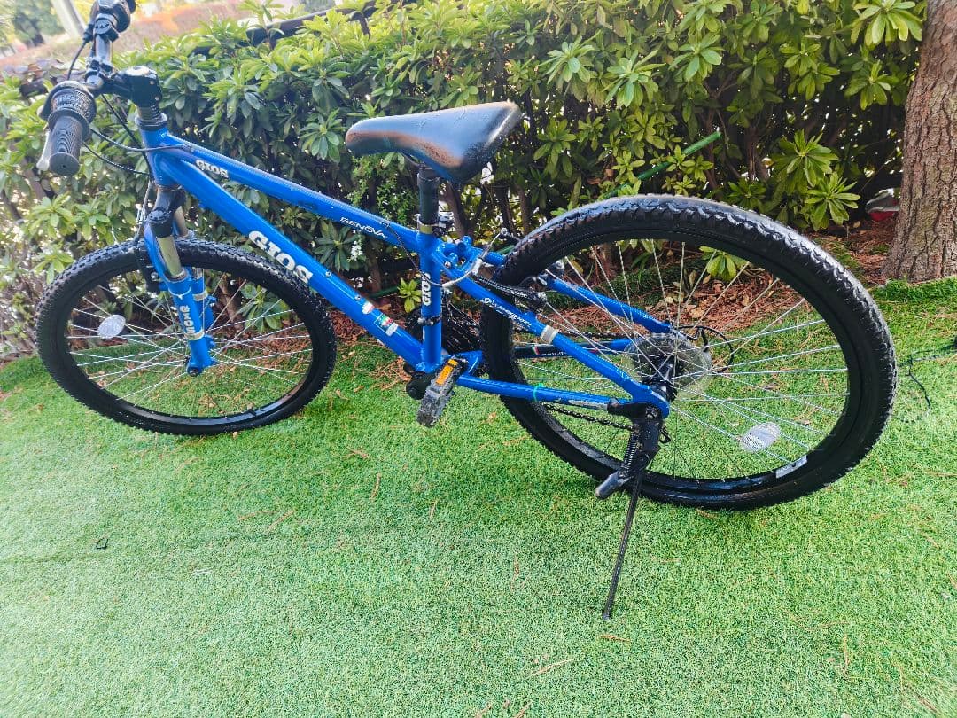セ*ラ様 GIOS Genova 24 size ジュニア自転車 青