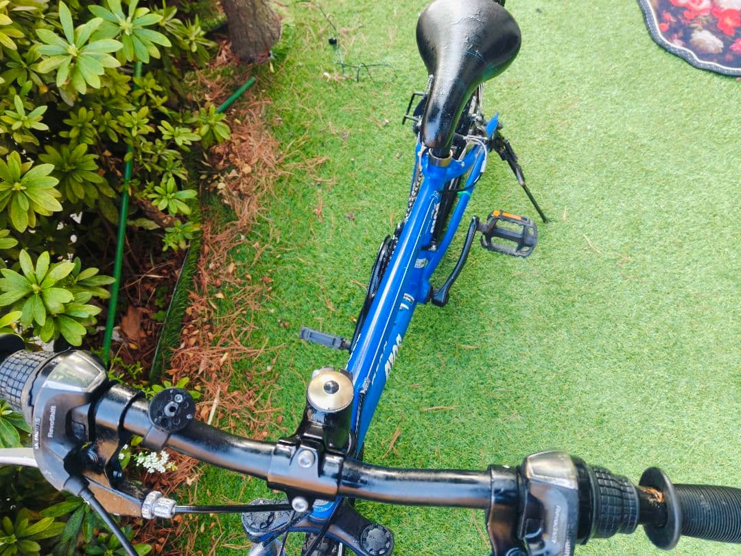 セ*ラ様 GIOS Genova 24 size ジュニア自転車 青