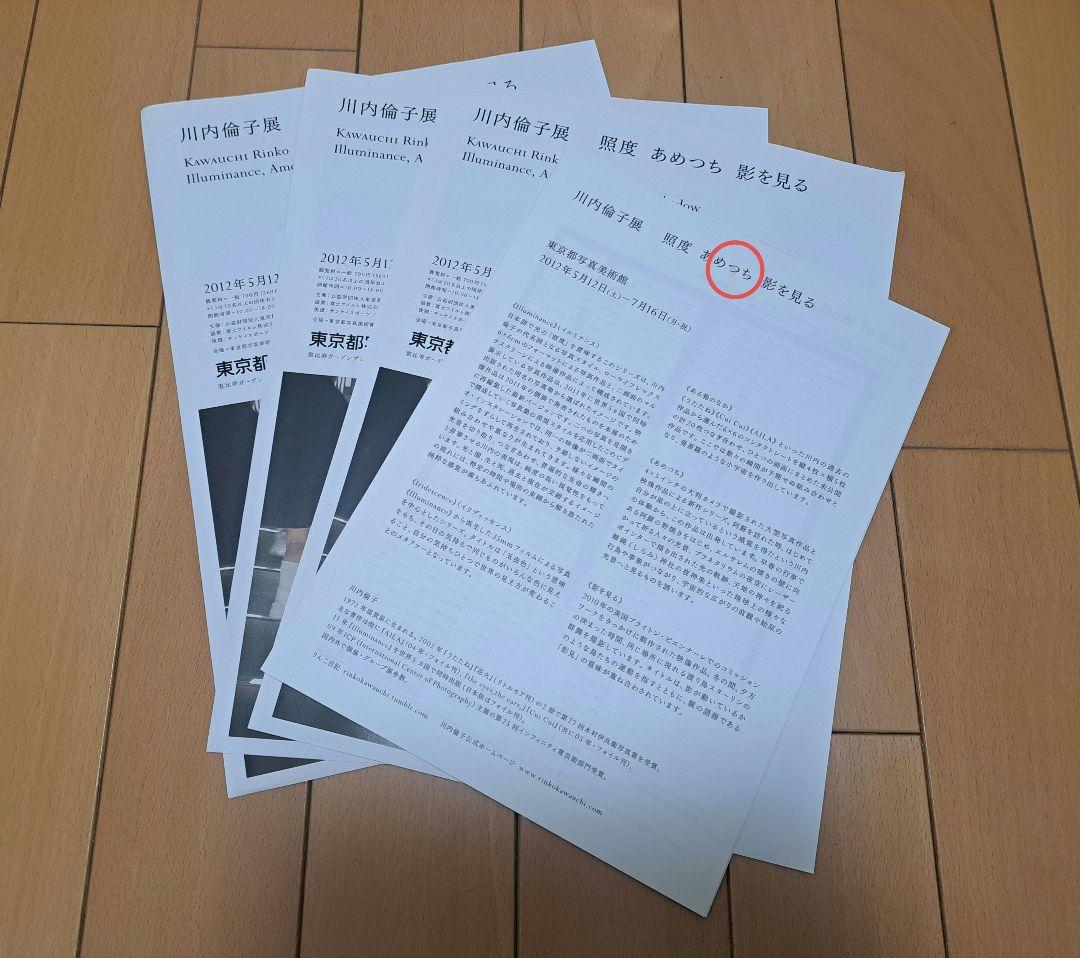 川内倫子　照度　あめつち影を見る